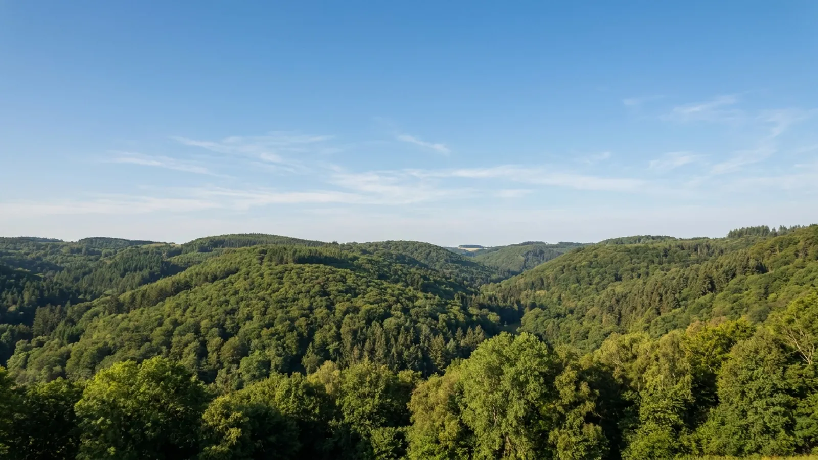 Rolling green hills and dense forests of the Eifel region under a clear sky.
