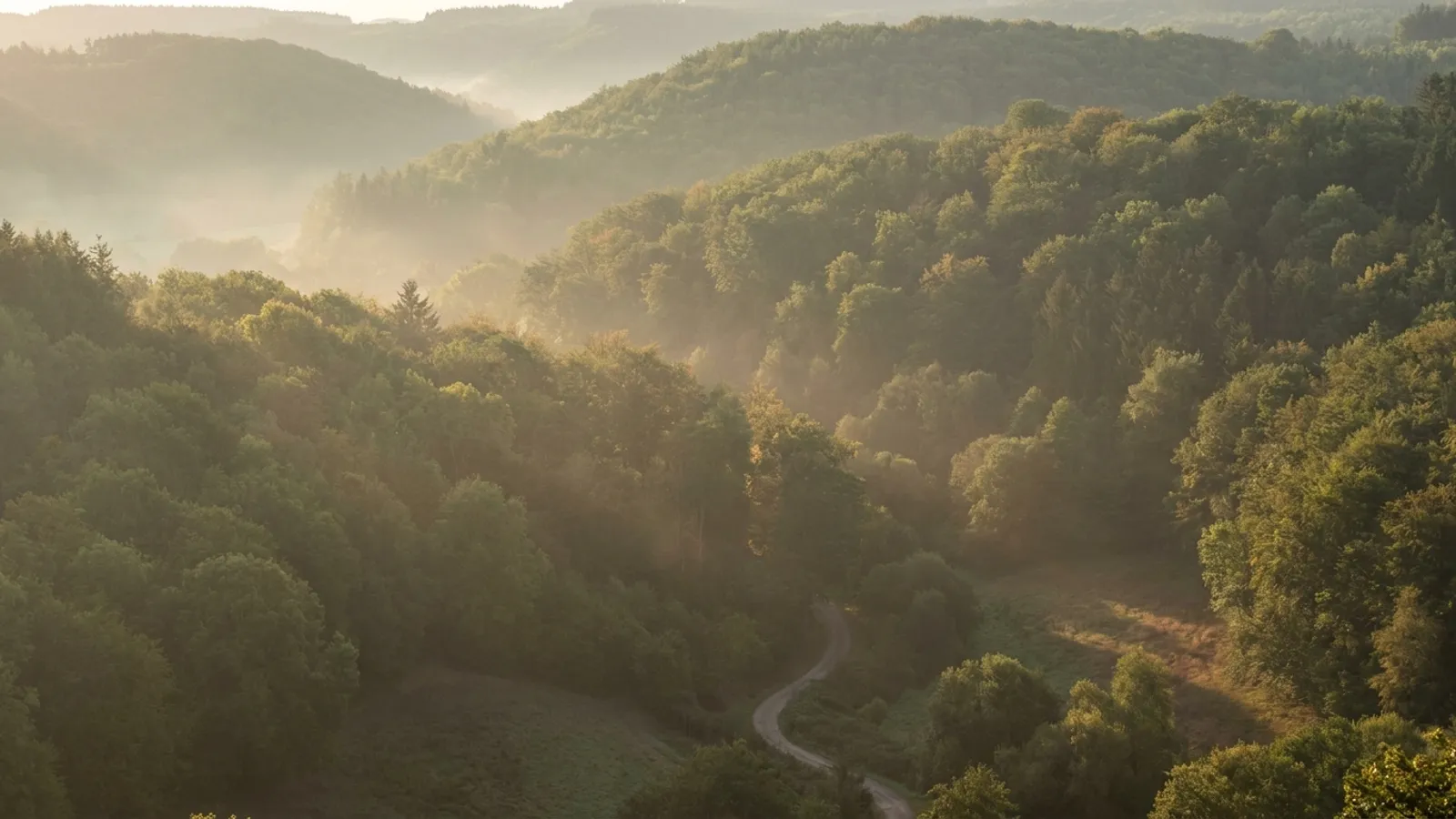 Misty morning over rolling hills in the Eifel region, Germany
